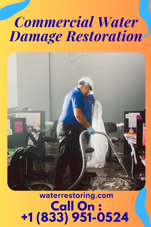 Commercial Water Damage Restoration in Elwood, UT