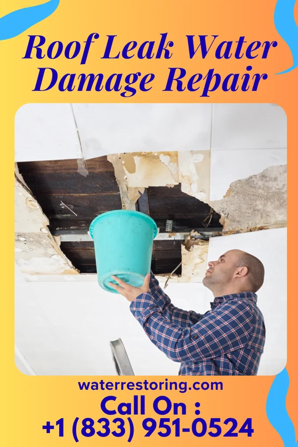 Roof Leak Water Damage Repair in Elwood, UT